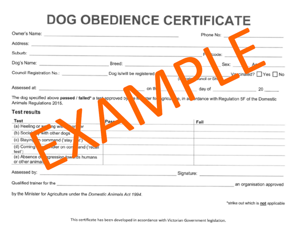 Dog Obedience Certificate Example