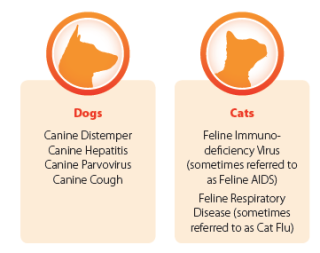 cat-dog-vaccinations