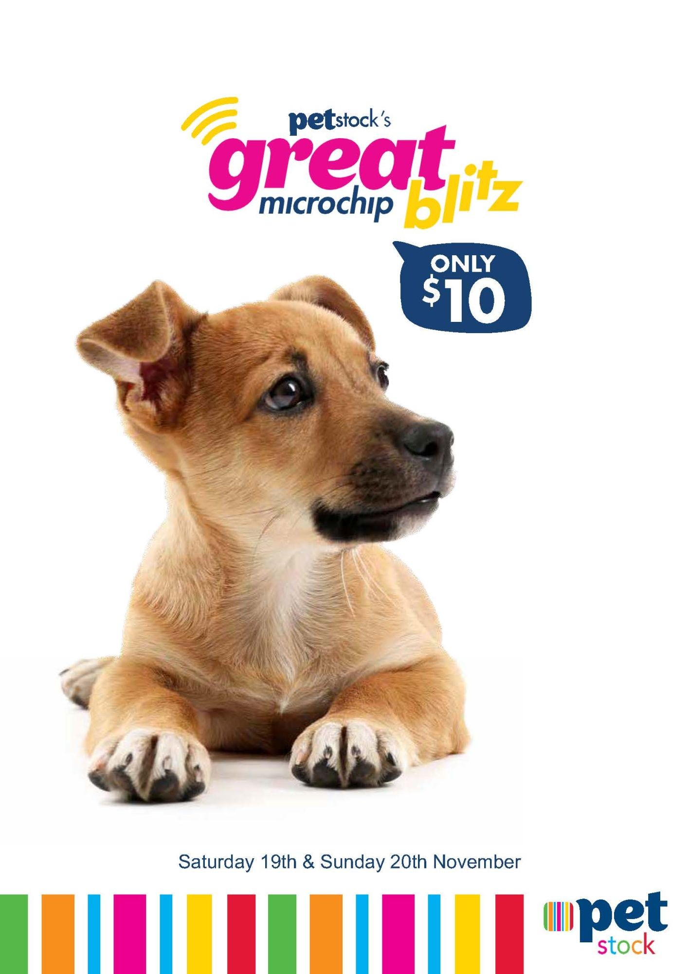 Petstock $10 microchipping hot sale