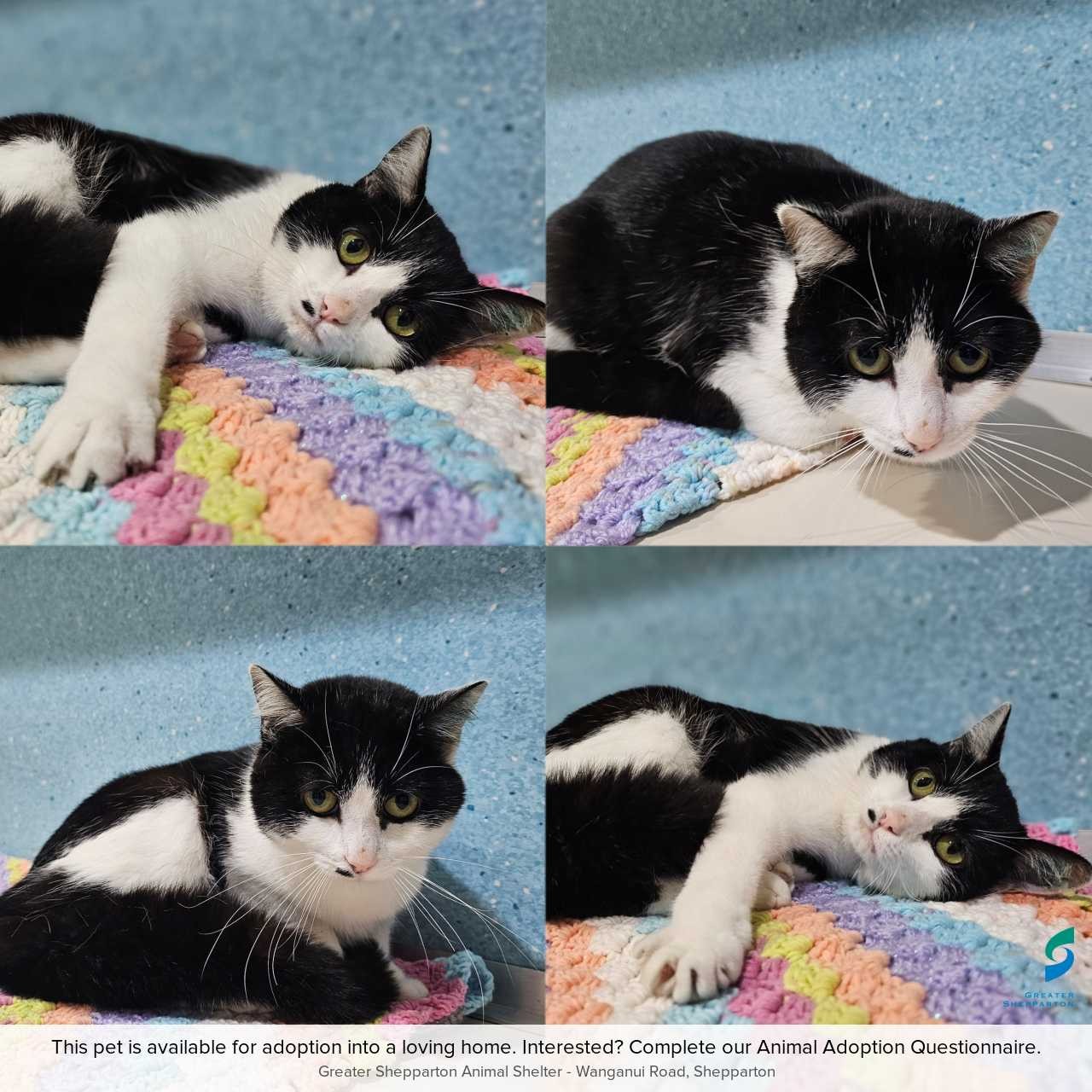 C260745 Charlie