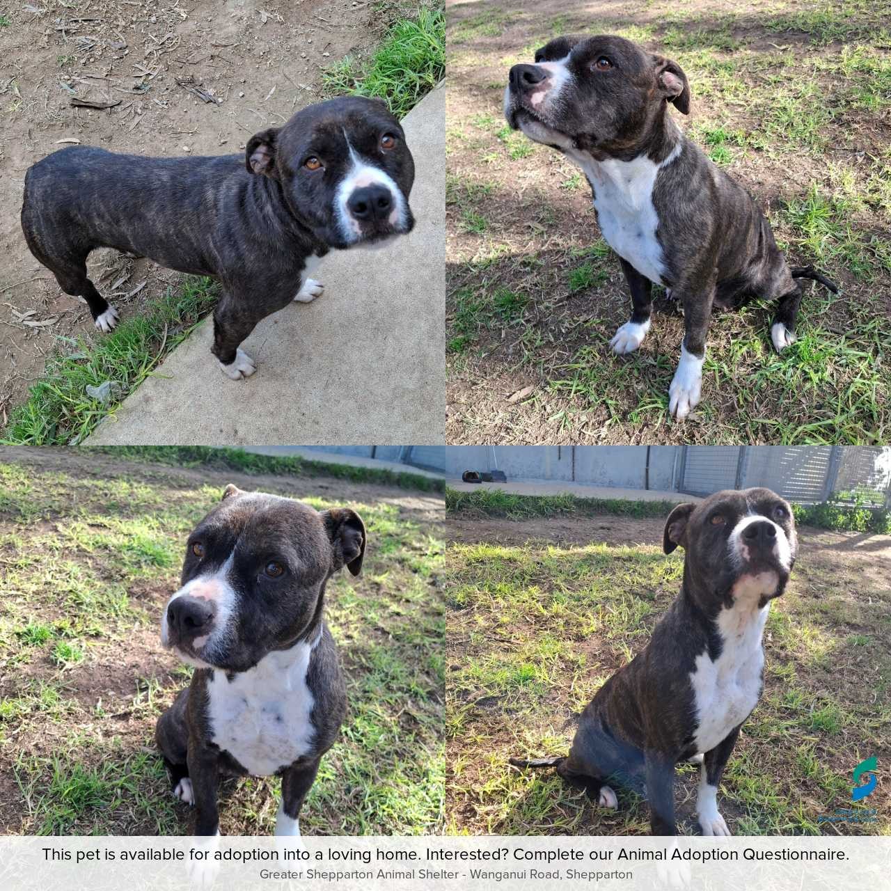 D260395 Coco