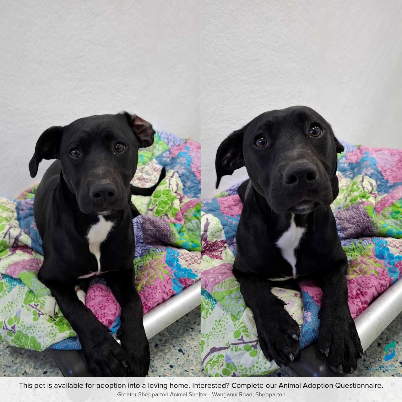 D260495 Nelly