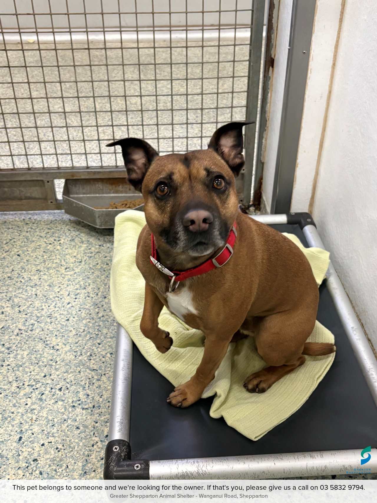 D260502