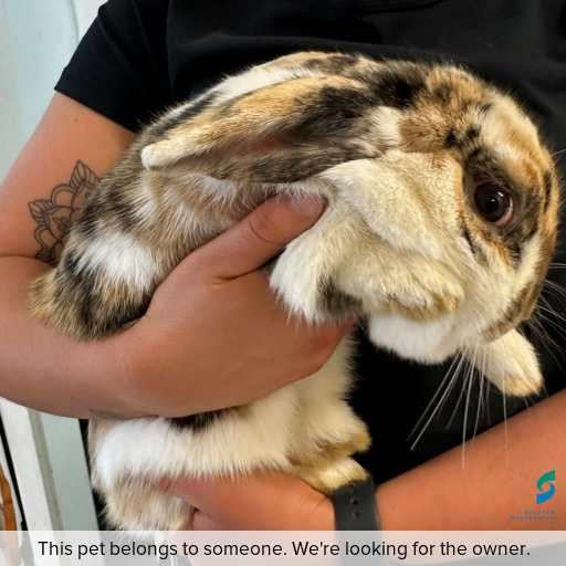 Photo of other with ID of : L887.