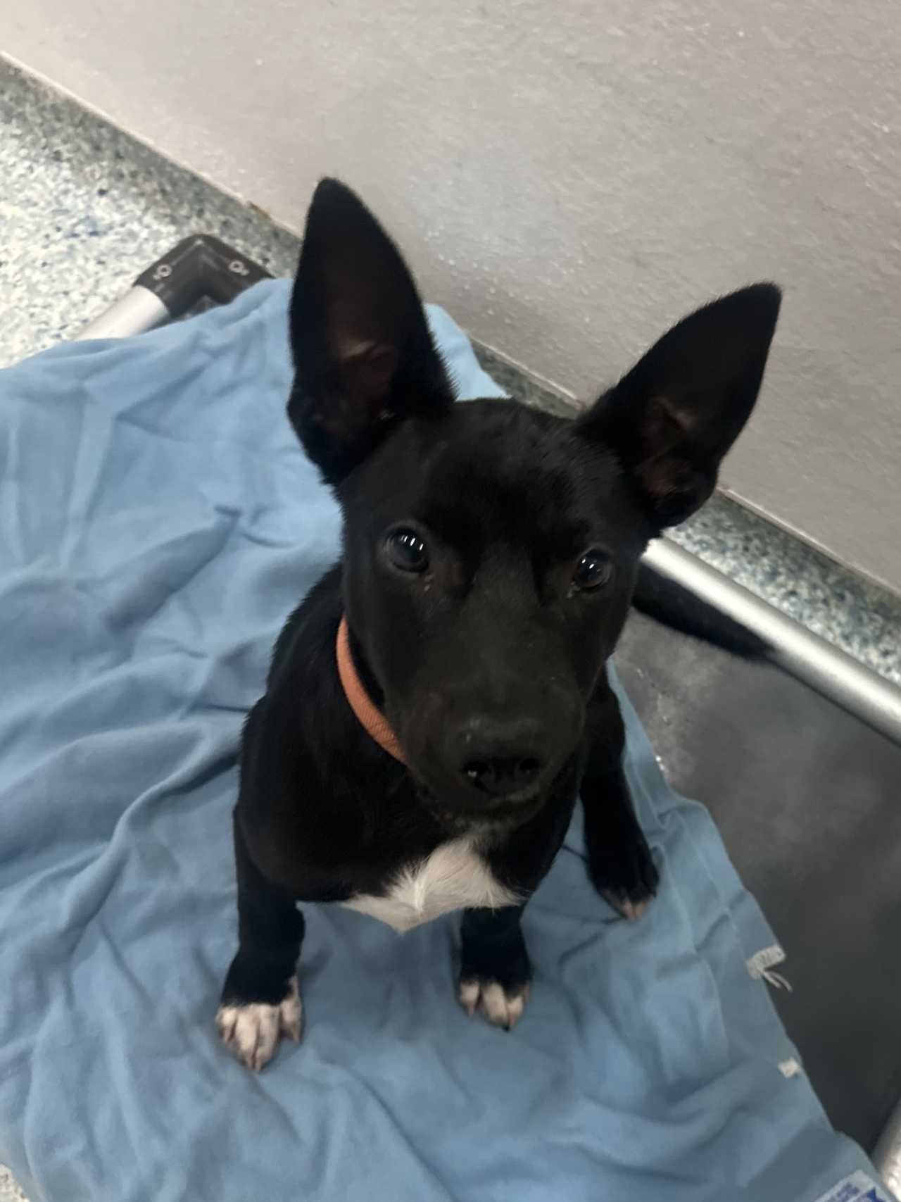 03EFE940-CD8B-49D2-8885-896D10882179