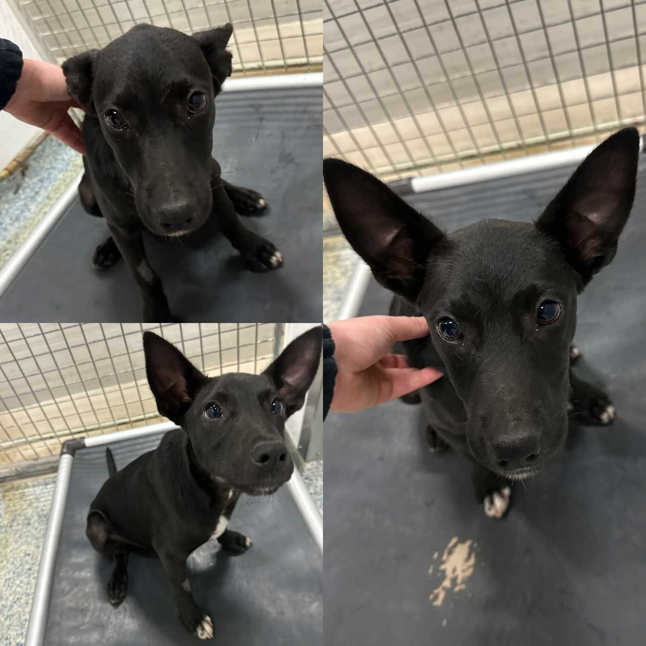 EE11D055-BCEF-48A7-B29F-849F0074002F