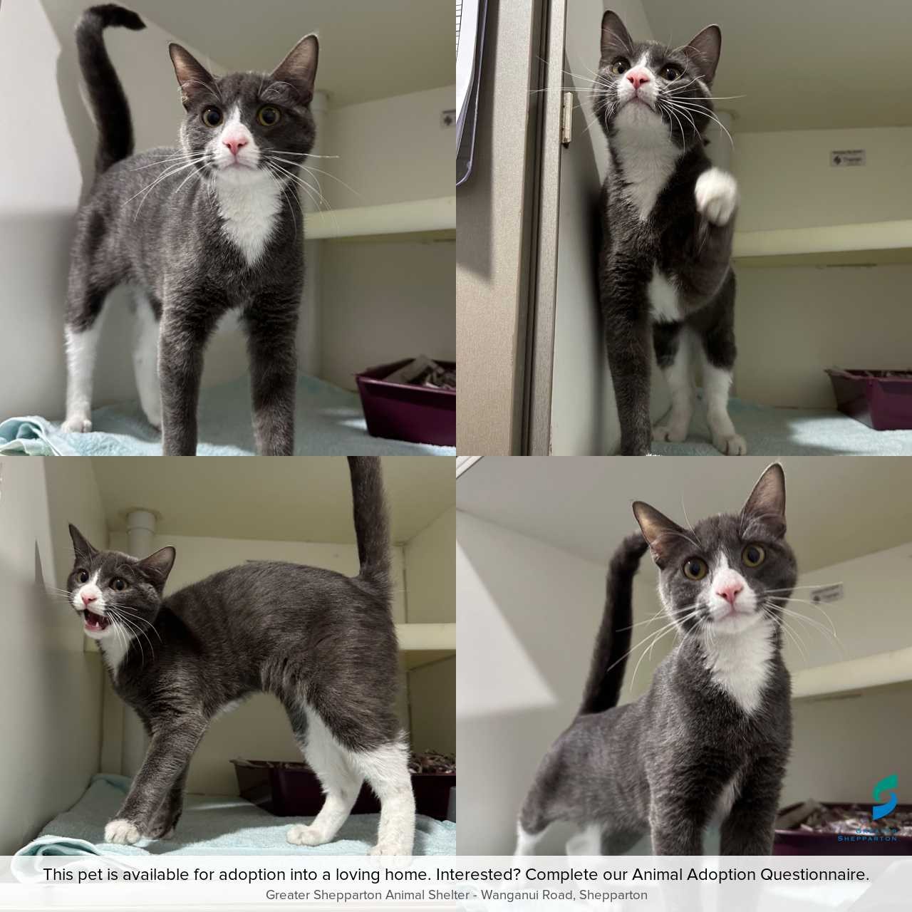 C260507Mickey
