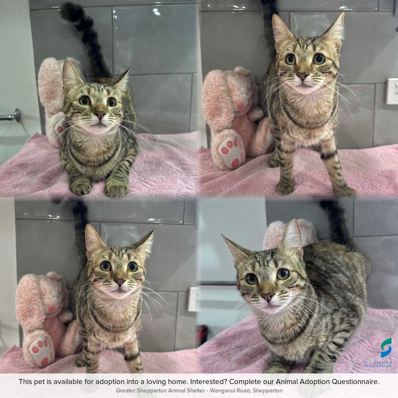 C260694 Penny
