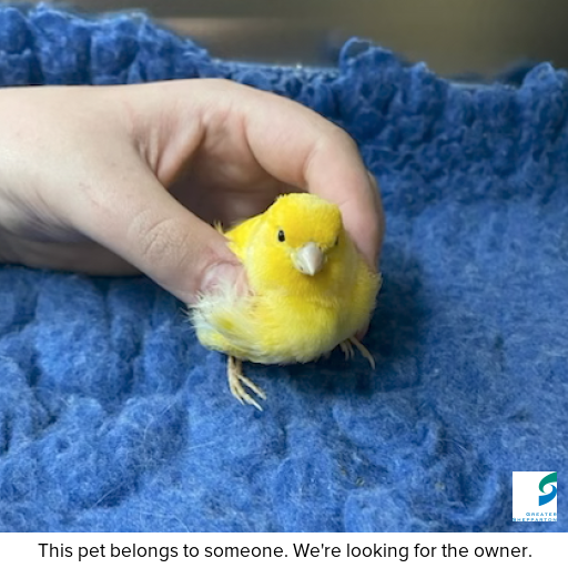 Photo of other with ID of : L909.