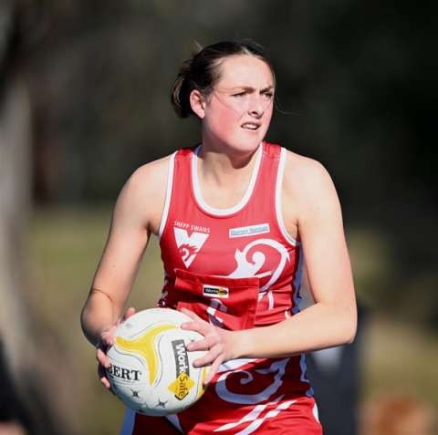 Harriet Gall