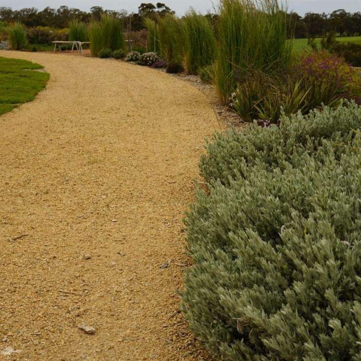 Residence Garden pathway and seating