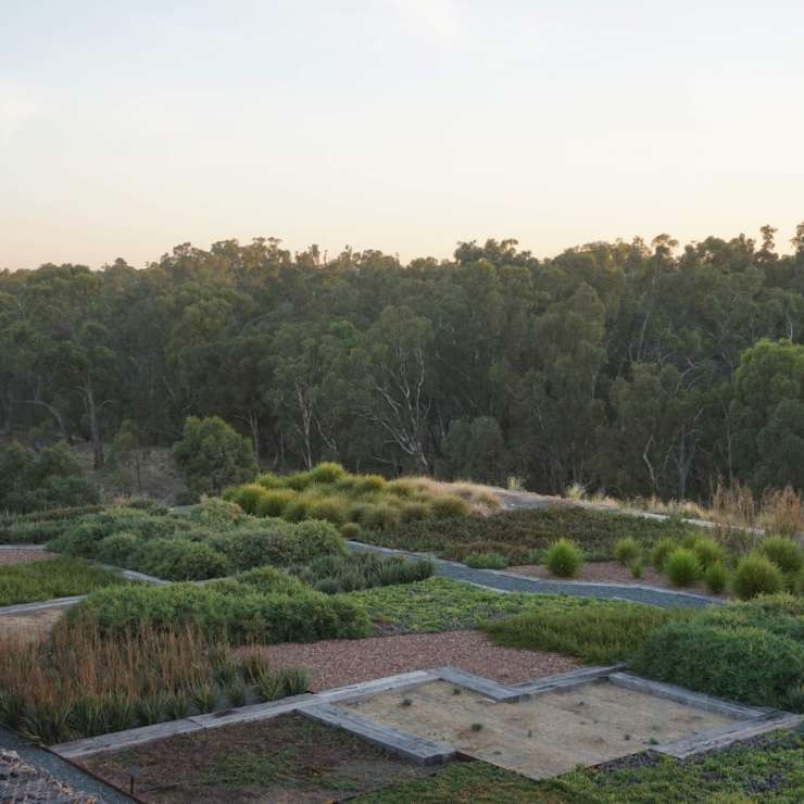 The Terraces Food Garden