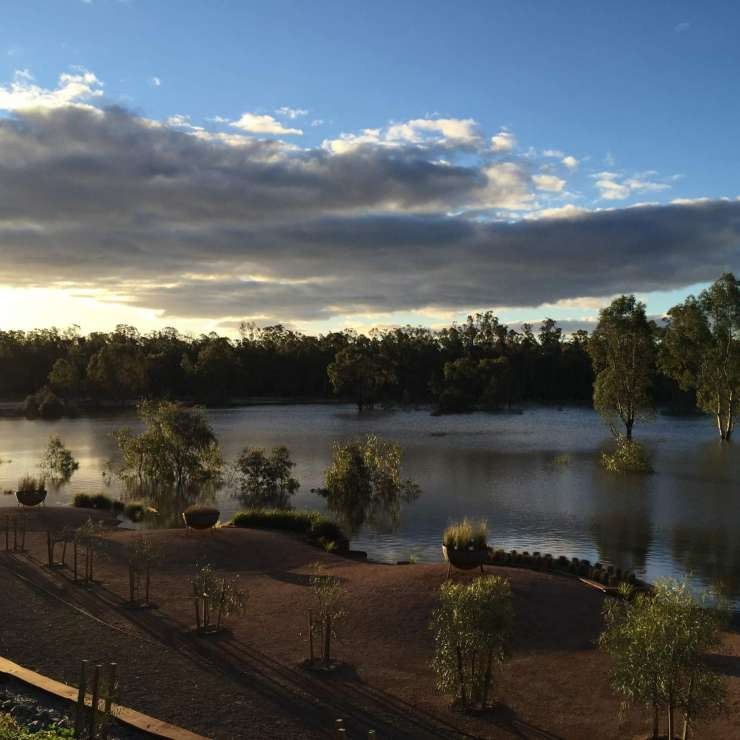 Wetlands in flood