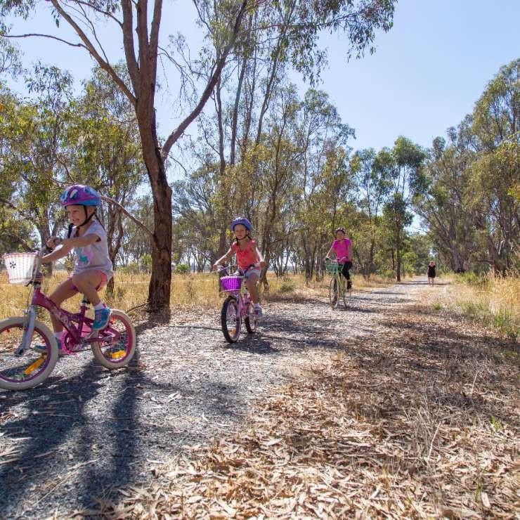 The Murchison Rail Trail traverses past significant wetlands of Doctor’s Swamp.