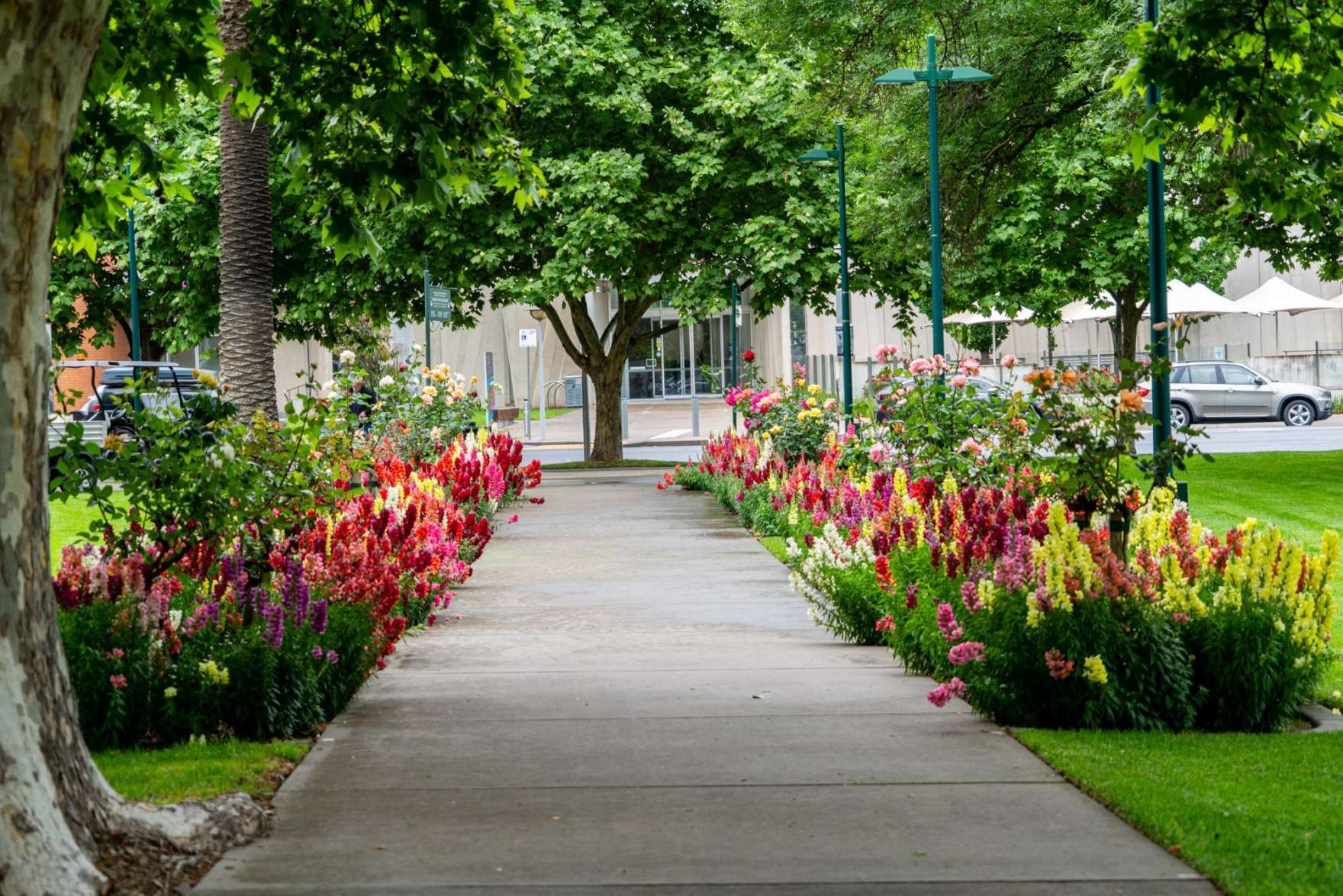Queen's Gardens, Shepparton