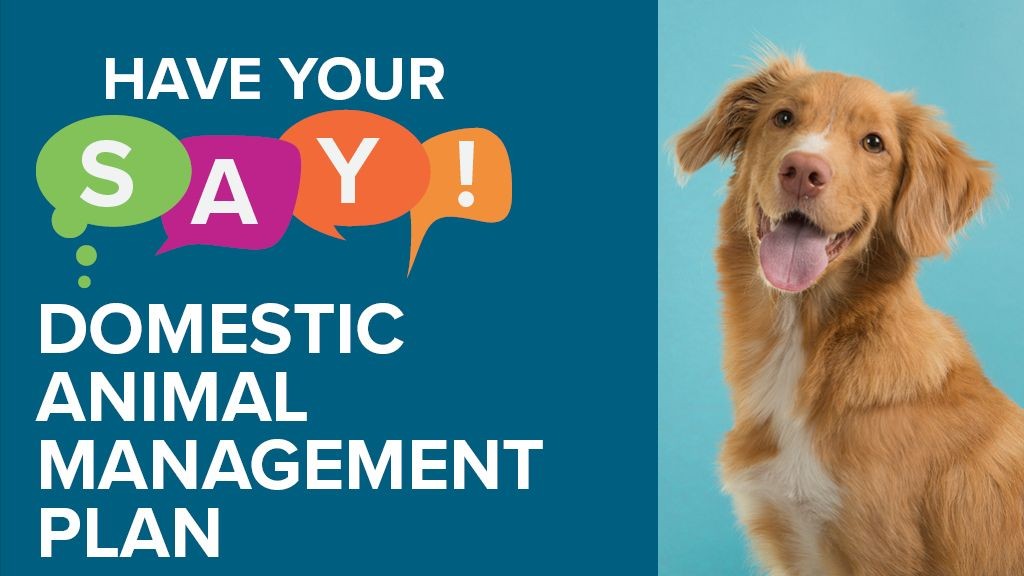 Seeking community input for Council's Domestic Animal Management Plan | Mirage News