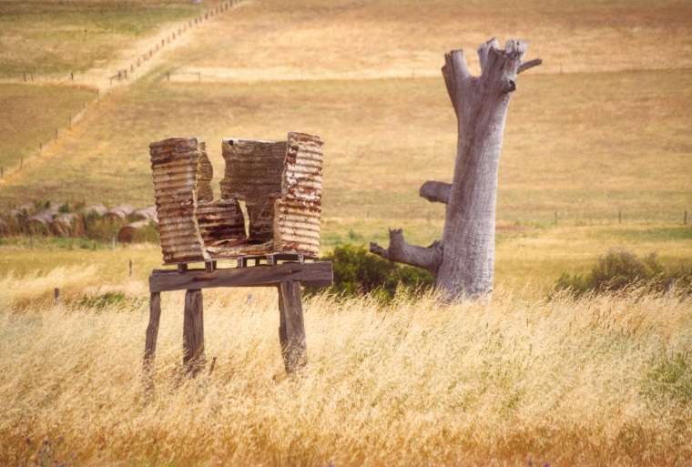 Drought-affected farm land.