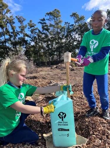 ChildrenPlantingTrees