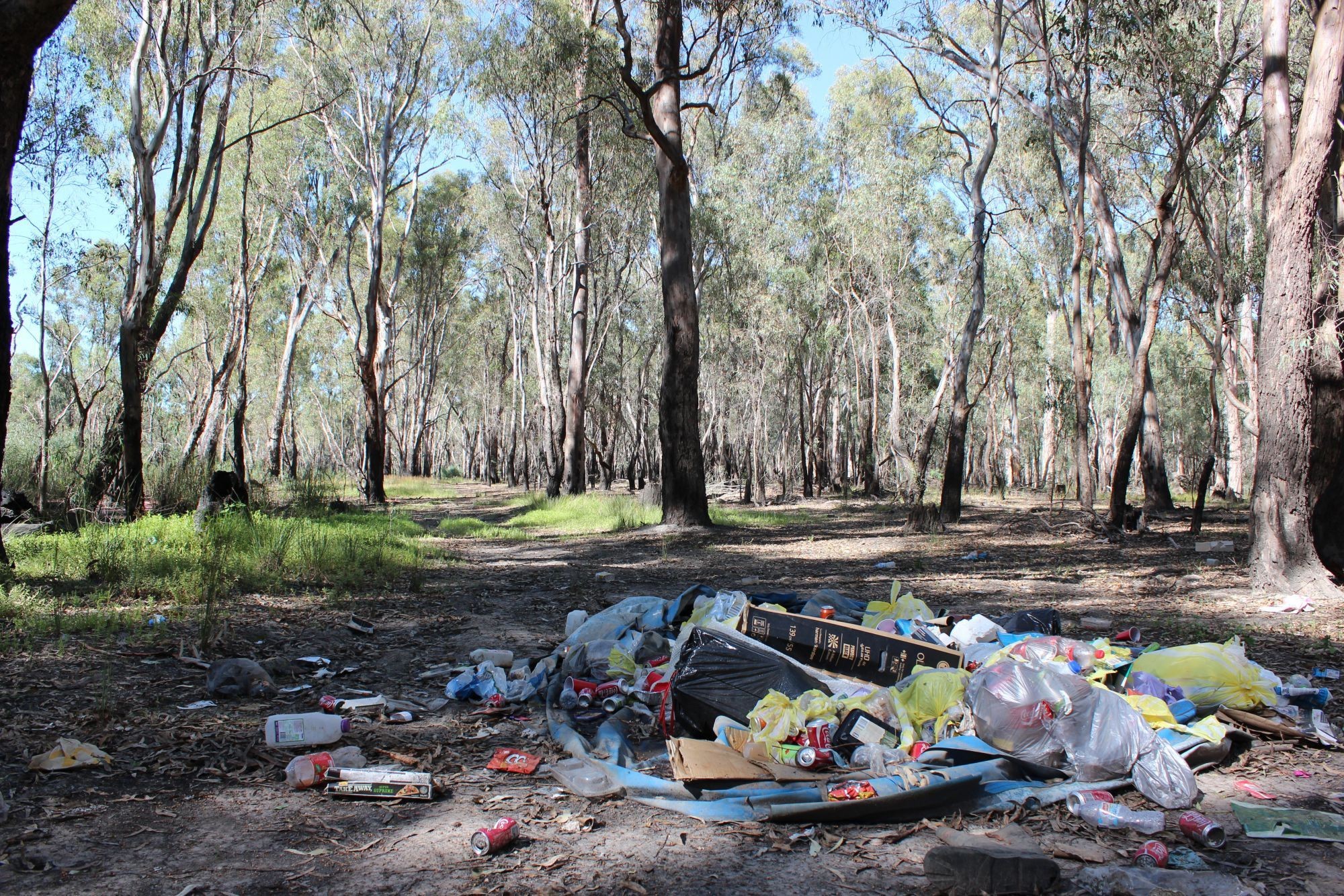 Reporting illegal dumping and littering Greater Shepparton City Council