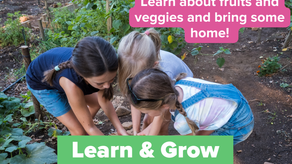 Cover image for event - Learn & Grow - Fruits and Veggie Experience