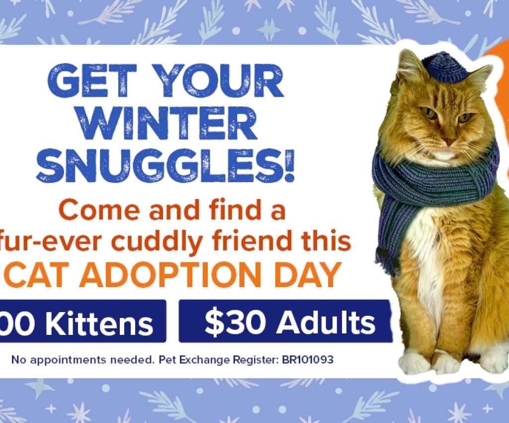 Cover image for event - Cat Adoption Day