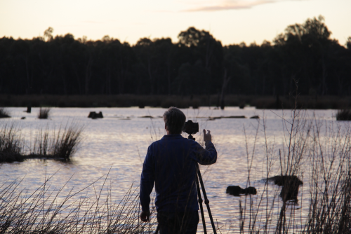 Cover image for event - Nature Photography