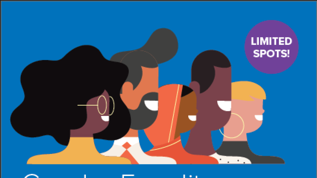 Cover image for event - Gender Equality,  Diversity and Inclusion