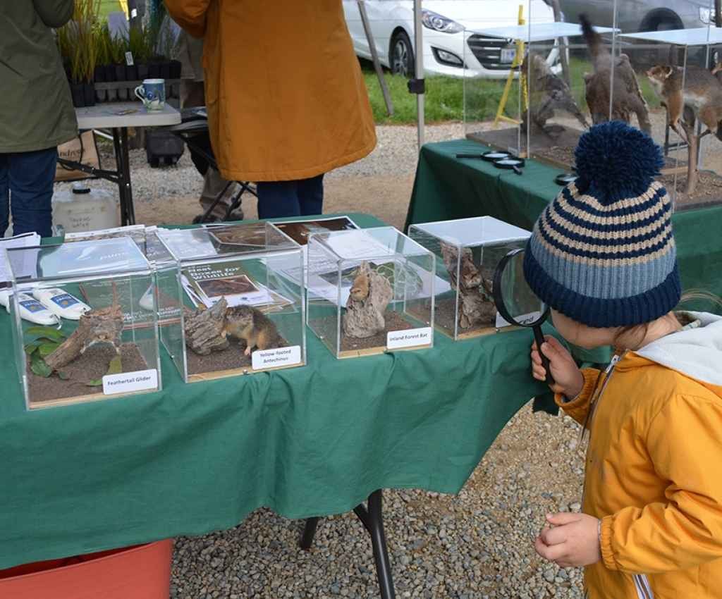 Cover image for event - Nurture Nature at Murchison