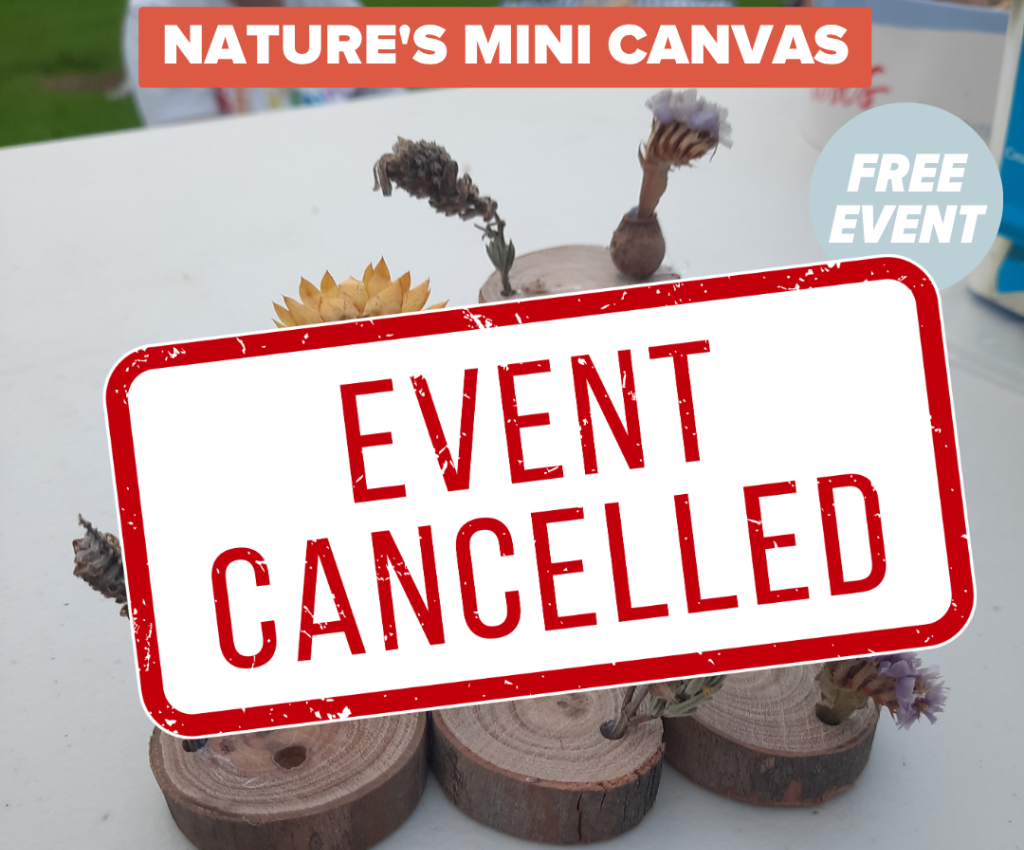 Cover image for event - Cancelled -Nature’s Mini Canvas