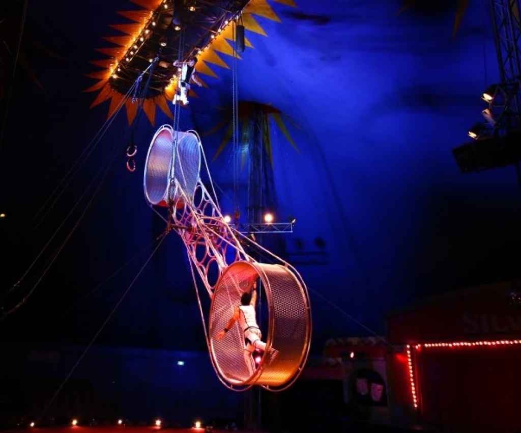 Cover image for event - Silvers Circus