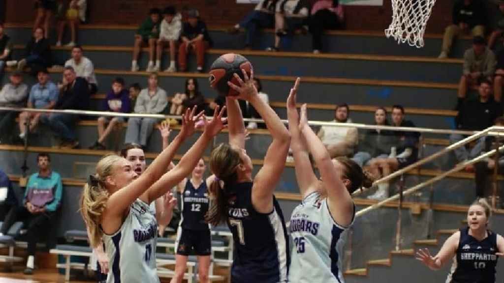Cover image for event - CBL Shepparton Gators Basketball