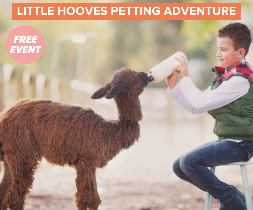 Cover image for event - Little Hooves Petting Adventure