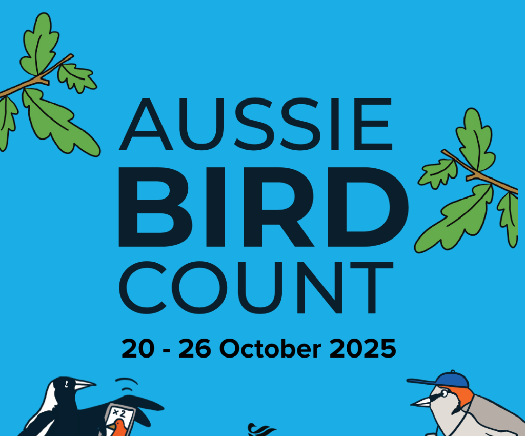 Cover image for event - Aussie Bird Count 2026