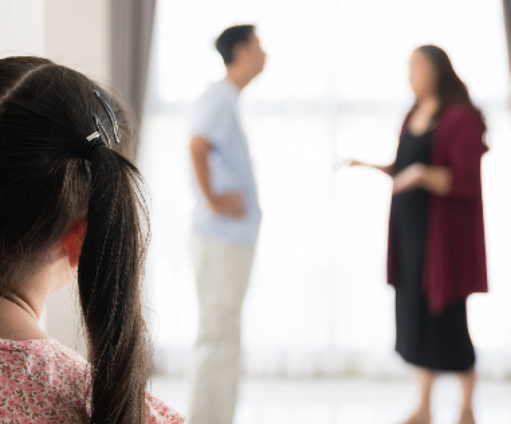 Cover image for event - Family Dispute Resolution in the Context of Family Violence