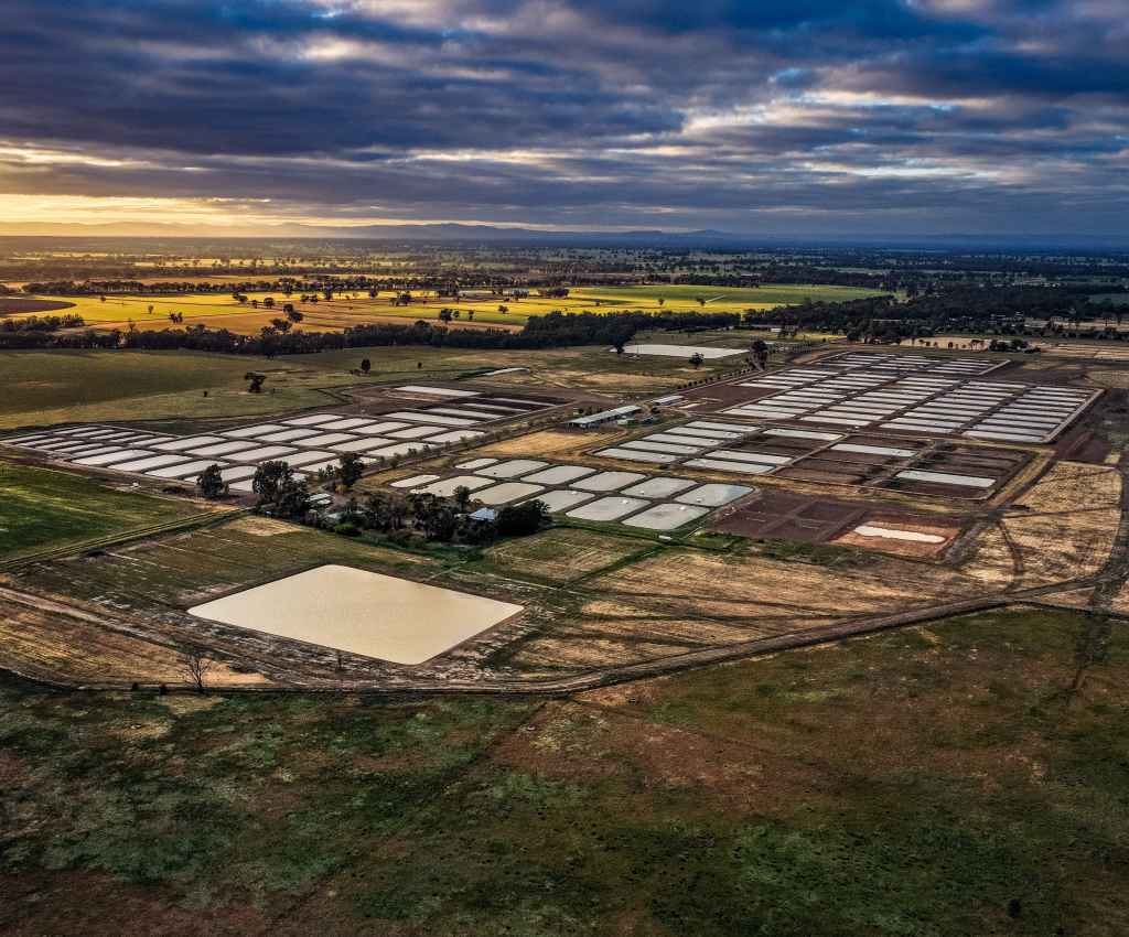 Cover image for event - Arcadia Open Day