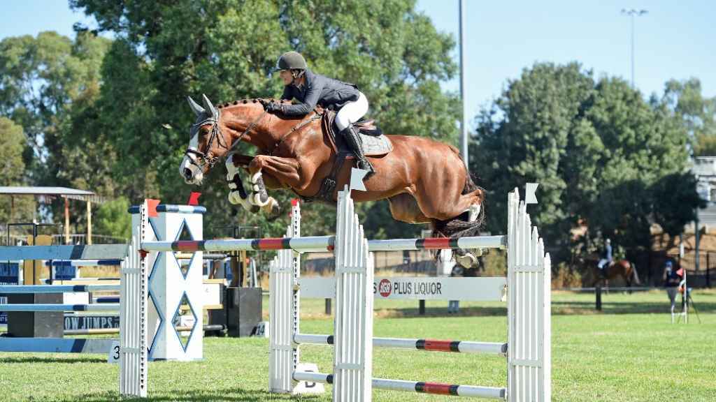 Cover image for event - The Northern Victorian Showjumping Club World Cup Festival 2026