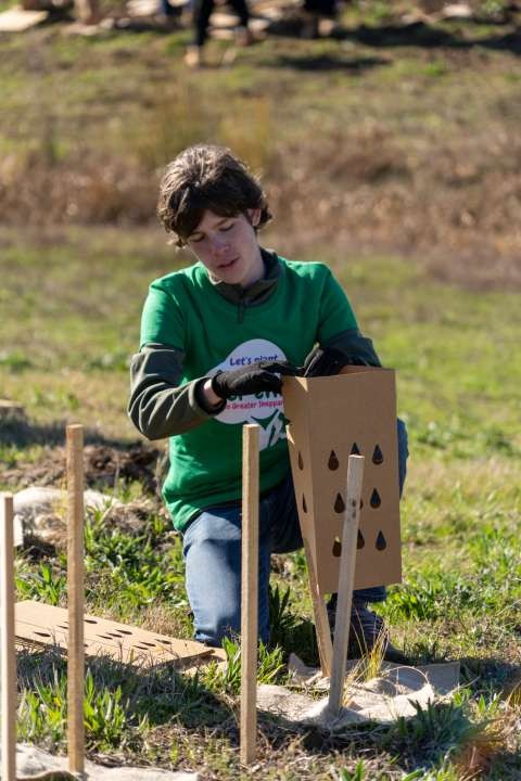 ONE TREE PER CHILD - MATHIEU RYAN - 28 JUL 2024 - 49