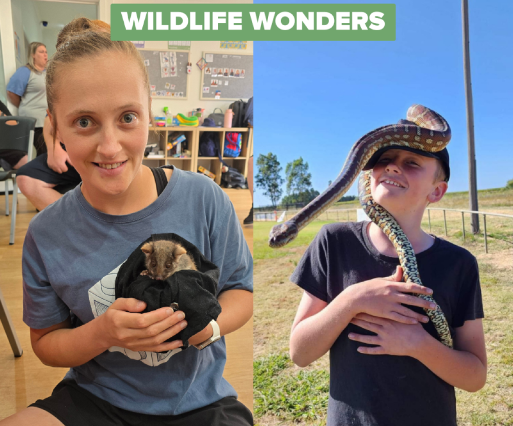 Cover image for event - KidsTown - Wildlife Wonders