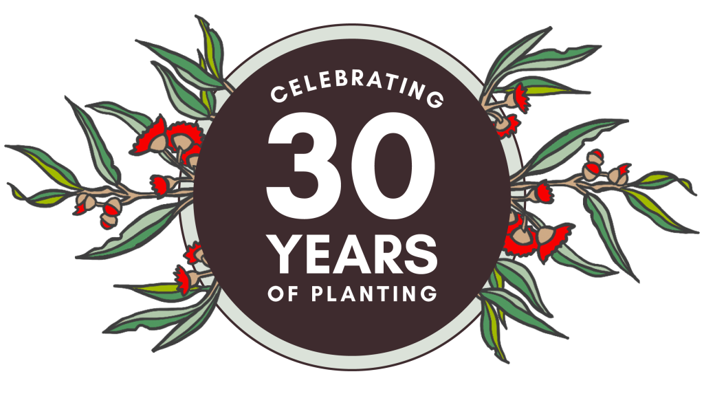 Cover image for event - National Tree Day 2026