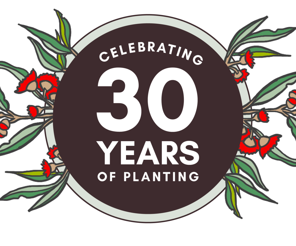 Cover image for event - National Tree Day 2026