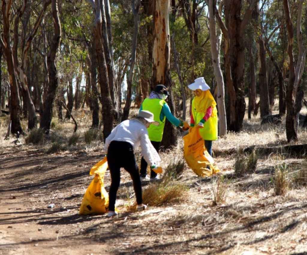 Cover image for event - Community Litter Clean Up