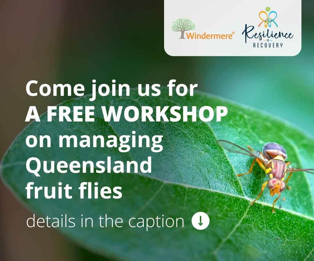 Cover image for event - Queens Fruit Fly Workshop
