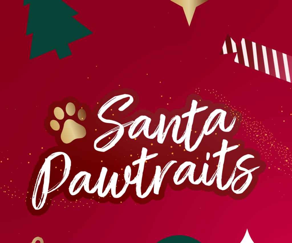 Cover image for event - Santa Pet Paw-traits at Shepparton Marketplacet