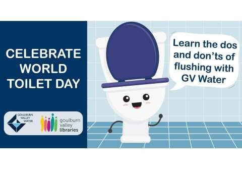 Webpage sizeToilet day