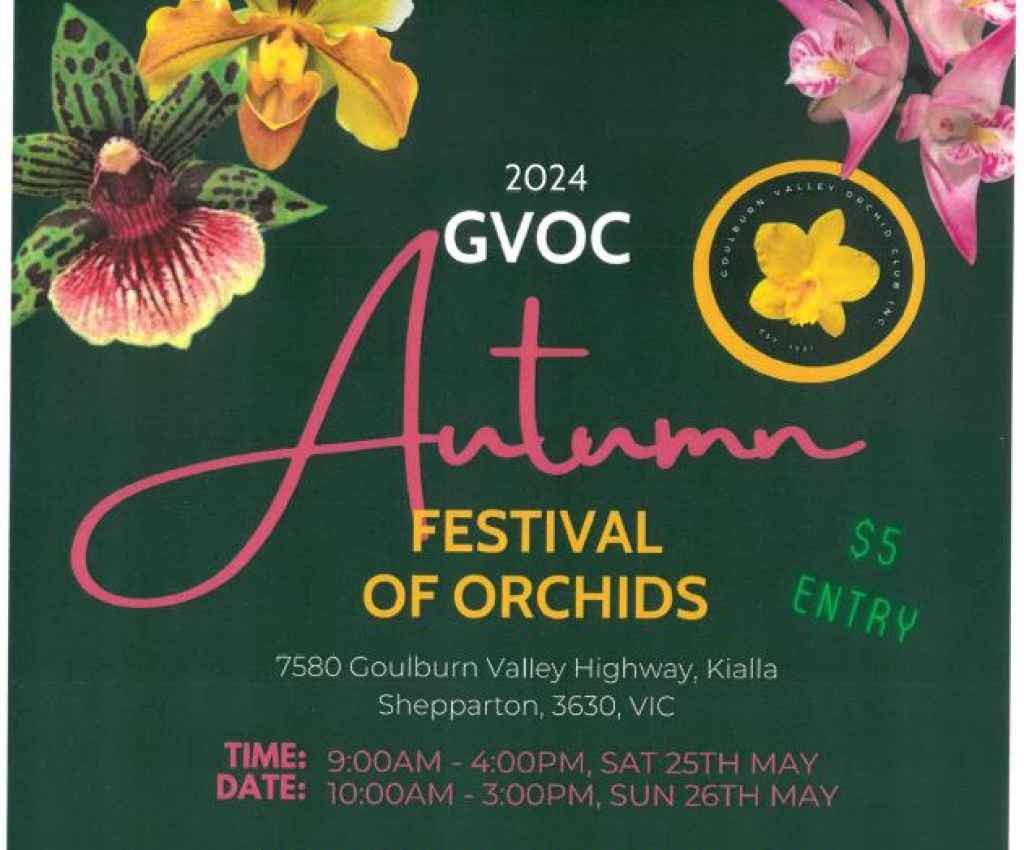 Cover image for event - Autumn Festival of Orchids