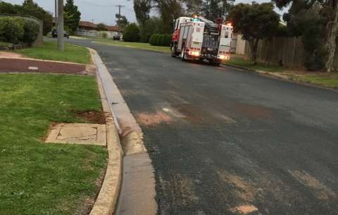 A job well done by CFA and GSCC.