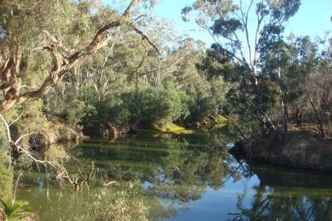 Goulburn River - Jordan's Bend, opposite Snake Island