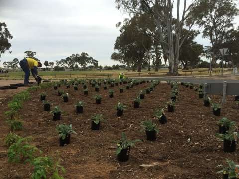 Boulevard Balaclava Rd