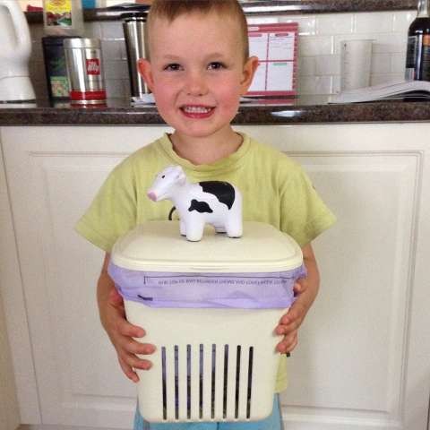 Lily's 4 year old brother Rolf was super excited about their news kitchen Caddy.