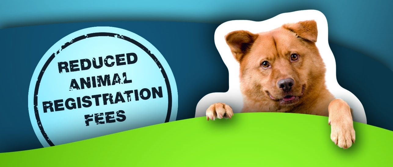 Can I Register An Unregistered Dog